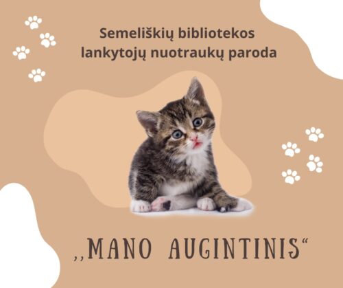 Semeliškių bibliotekos lankytojų nuotraukų paroda „Mano augintinis“. Rainas kačiukas meiliai sėdi.
