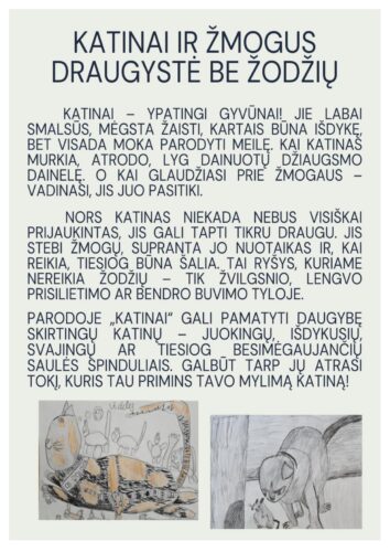 Parodos "Katinai" aprašymas. Katinai ir žmogus; draugystė be žodžių.